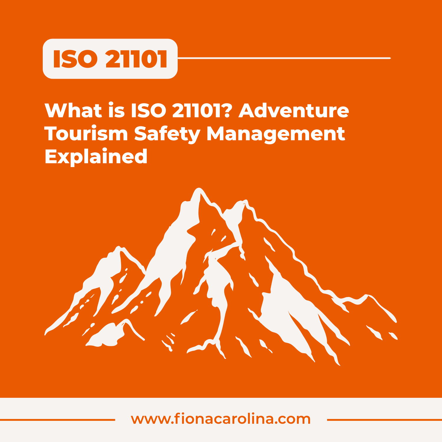 What is ISO 21101